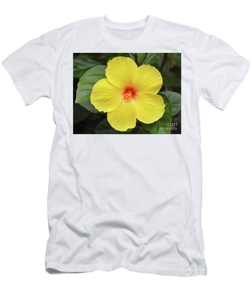 A Perfect Hibiscus T-Shirt