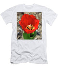 A Red Tulip To Celebrate Spring T-Shirt
