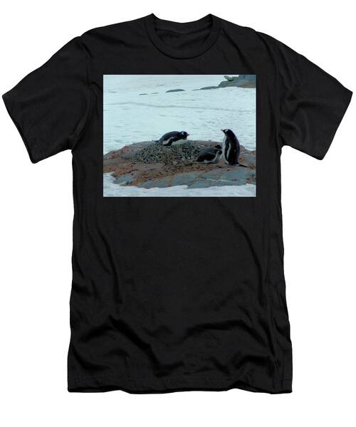 Adelie Penguin Nest In Snow In Antarctica T-Shirt