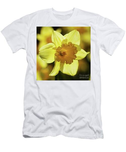 Welcome Spring Wth An Irish Daffodil T-Shirt