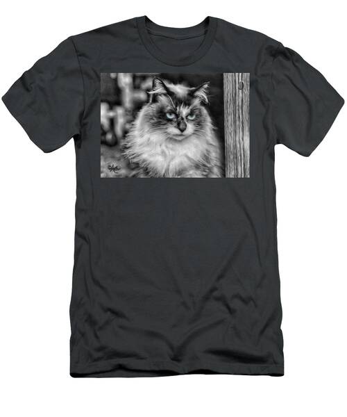 Funnyface Rules T-Shirt