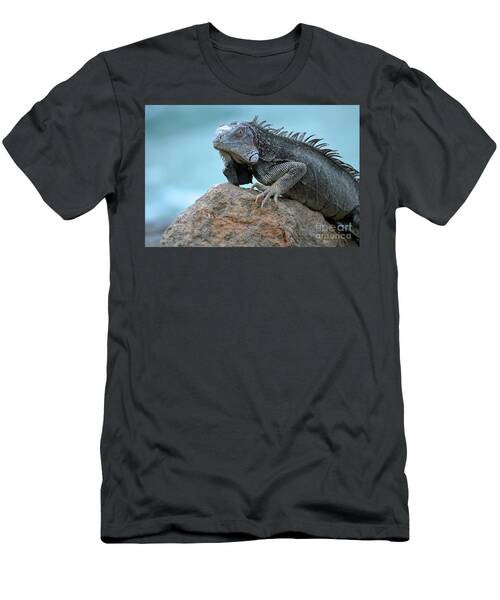 Aruba Green Iguana T-Shirt