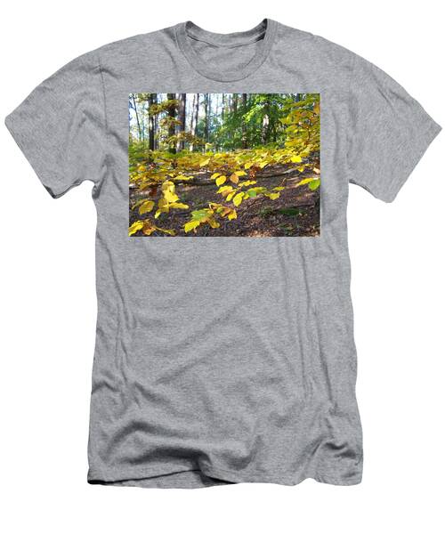 Autumn Colored Beech Branch. T-Shirt