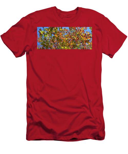 Autumn Leaves On Blue T-Shirt