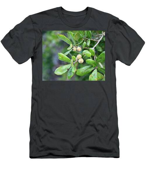 Autumn Live Oak With Acorns T-Shirt