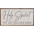 Holy Spirit Whitewash