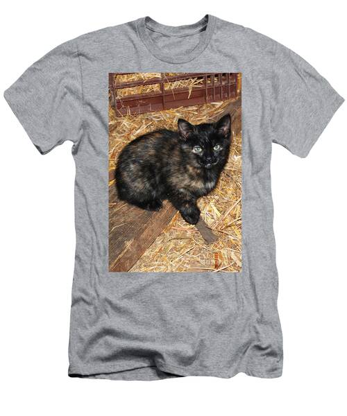 Baby Barn Cat T-Shirt