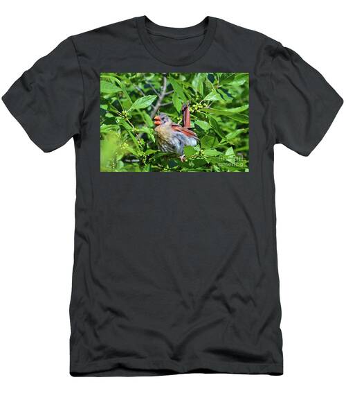 Baby Cardinal T-Shirt