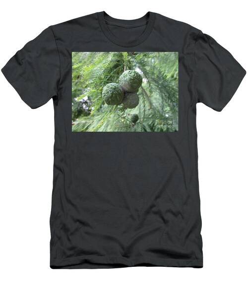 Bald Cypress Balls T-Shirt