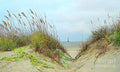 Beach View Print
