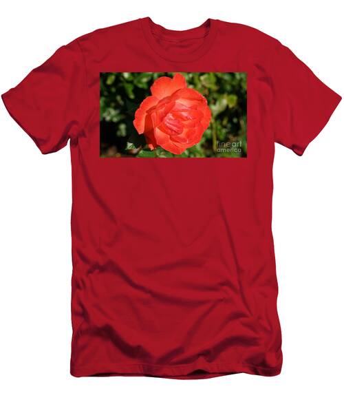 Bengal Beauty T-Shirt
