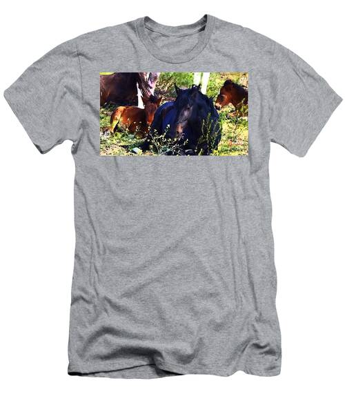 Black Stallion With Family T-Shirt