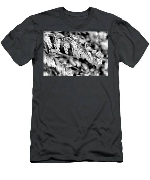 Blooming Pieris Branch In Spring In Black And White With Bokeh T-Shirt