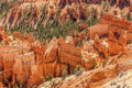 Bryce Canyon Print
