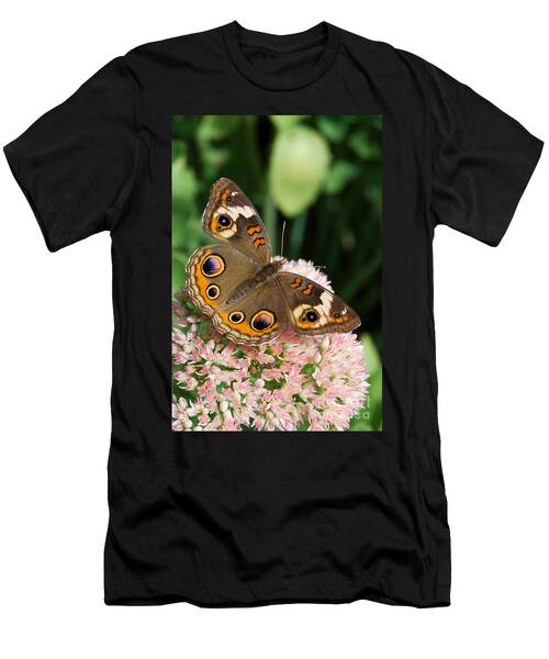Buckeye Butterfly T-Shirt