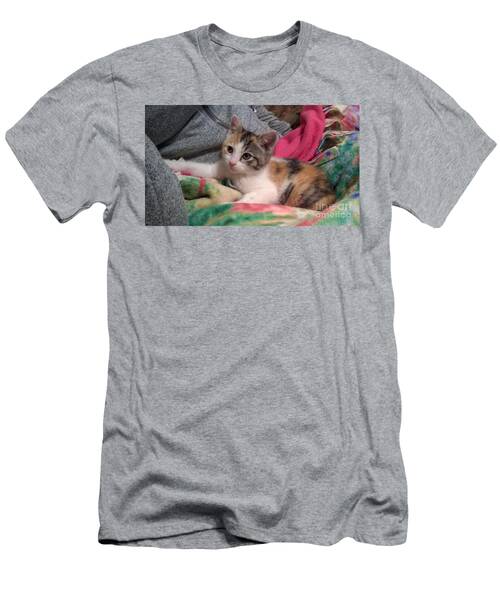 Calico Kitten1 T-Shirt