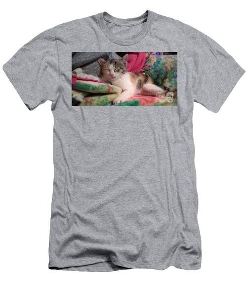 Calico Kitten3 T-Shirt