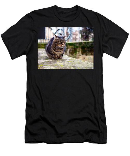 Cat Face T-Shirt