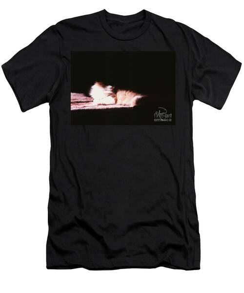 Cat In The Shadows T-Shirt