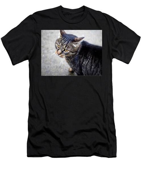 Cat T-Shirt