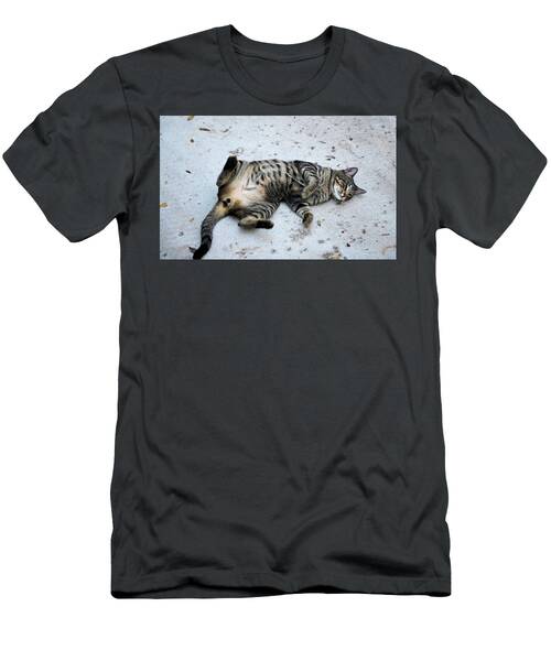 Cat Rolling On Its Back In Leu Gardens Florida T-Shirt