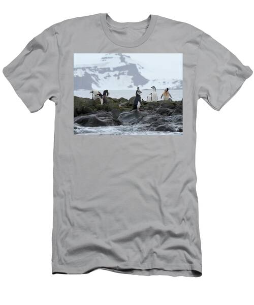 Chinstrap Penguins On Rocky Island Near Antarctica T-Shirt
