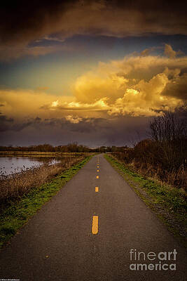 Cyclepath Print