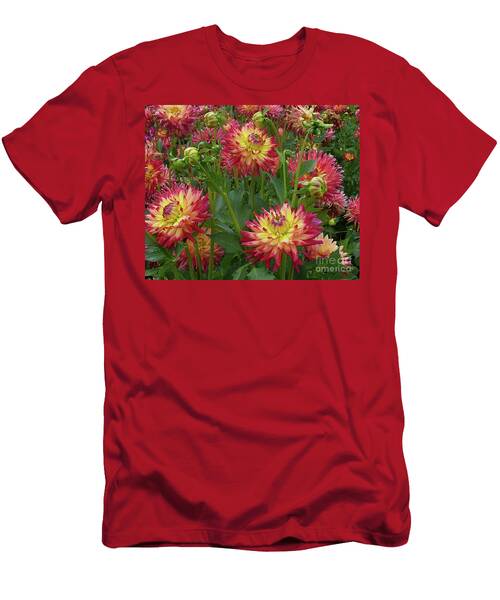 Dahlia Field Image T-Shirt