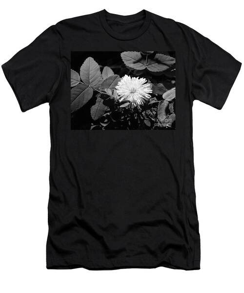Dandelion Blossom  .. Bw 001 T-Shirt