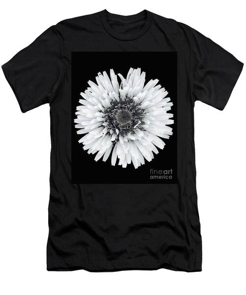 Dandelion Blossom .. Bw.002 T-Shirt