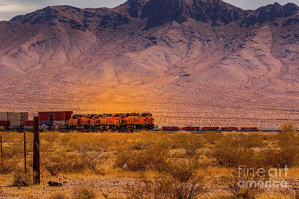 Desert Train Print