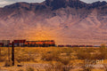 Desert Train Print