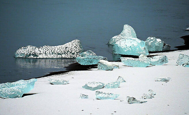 Ice Berg Bits In The Water And On Snow And Black Volcanic Sand On Diamond Beach Shore In Iceland Print