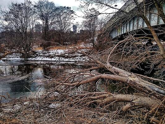 Don River Print