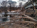 Don River Print