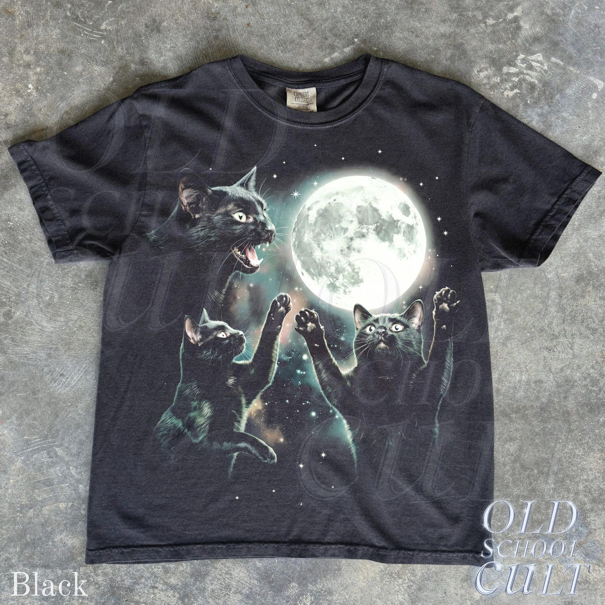 Vintage Black Cat Moon Celestial Cat Lover Tee Spooky Gothic Kitty (1)