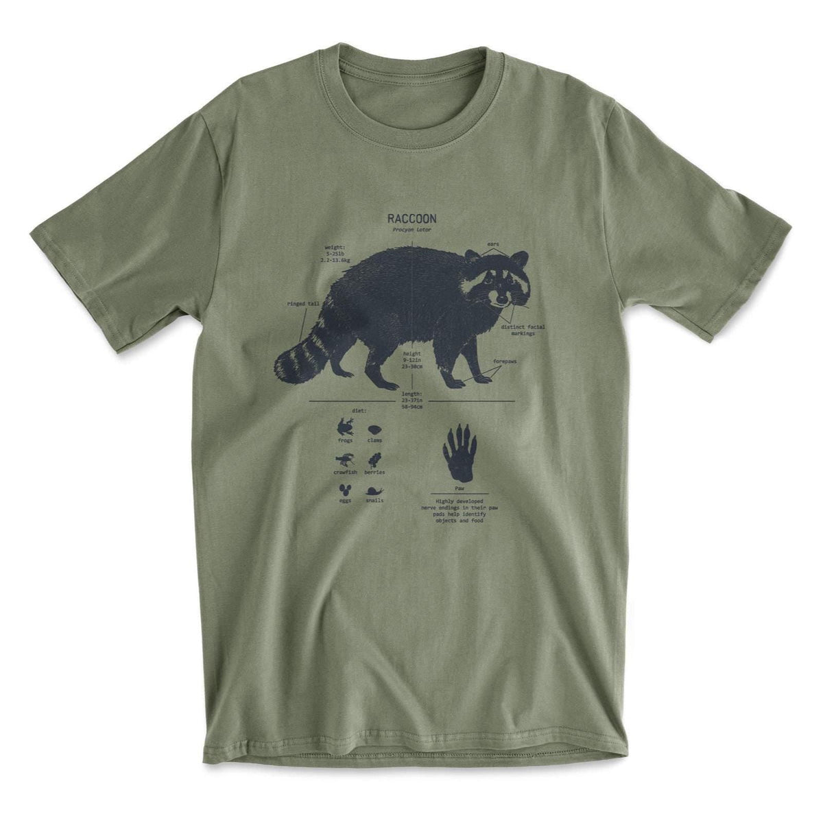 Raccoon Anatomy Hand Drawn Screen Printed Unisex T-shirt, Sweatshirt, Hoodie (4)