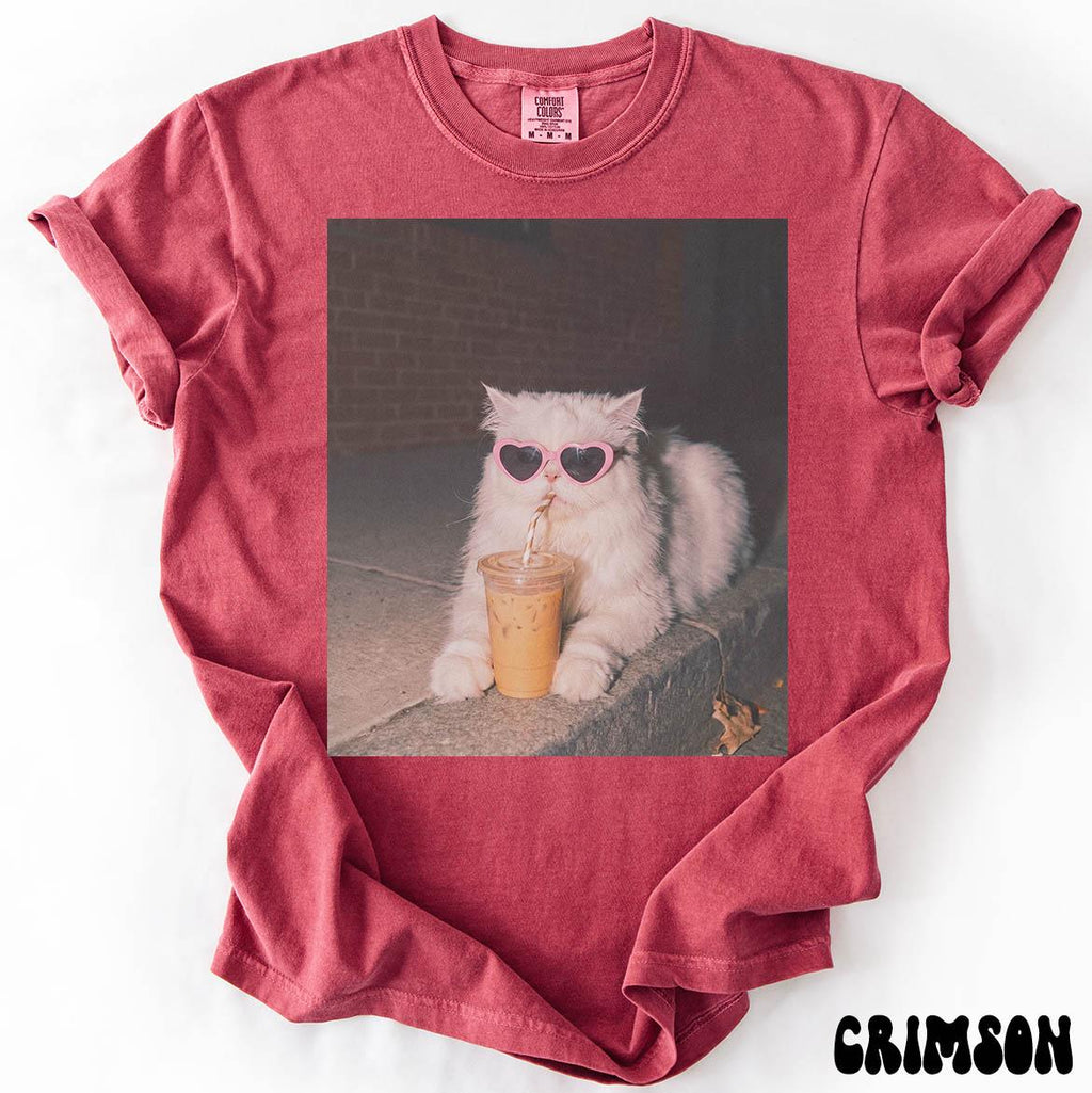 Persian Cat Comfort Colors Iced Coffee Cat Mom Mothers Day Cat Mama Tee Pet (2)