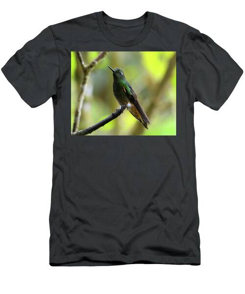Ecuador Hummingbird With Large Eye Spot T-Shirt