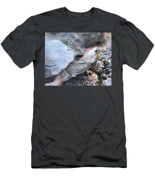 Elder Galapagos Tortoise Portrait T-Shirt