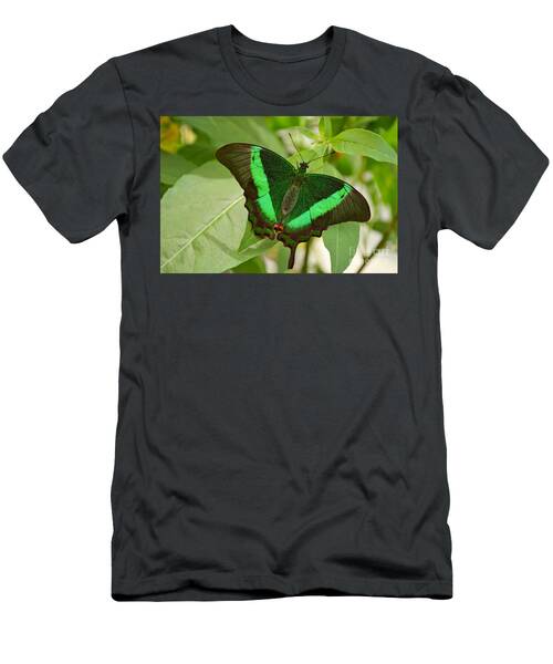Emerald Swallowtail Butterfly T-Shirt