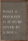 What A Privilege Dog