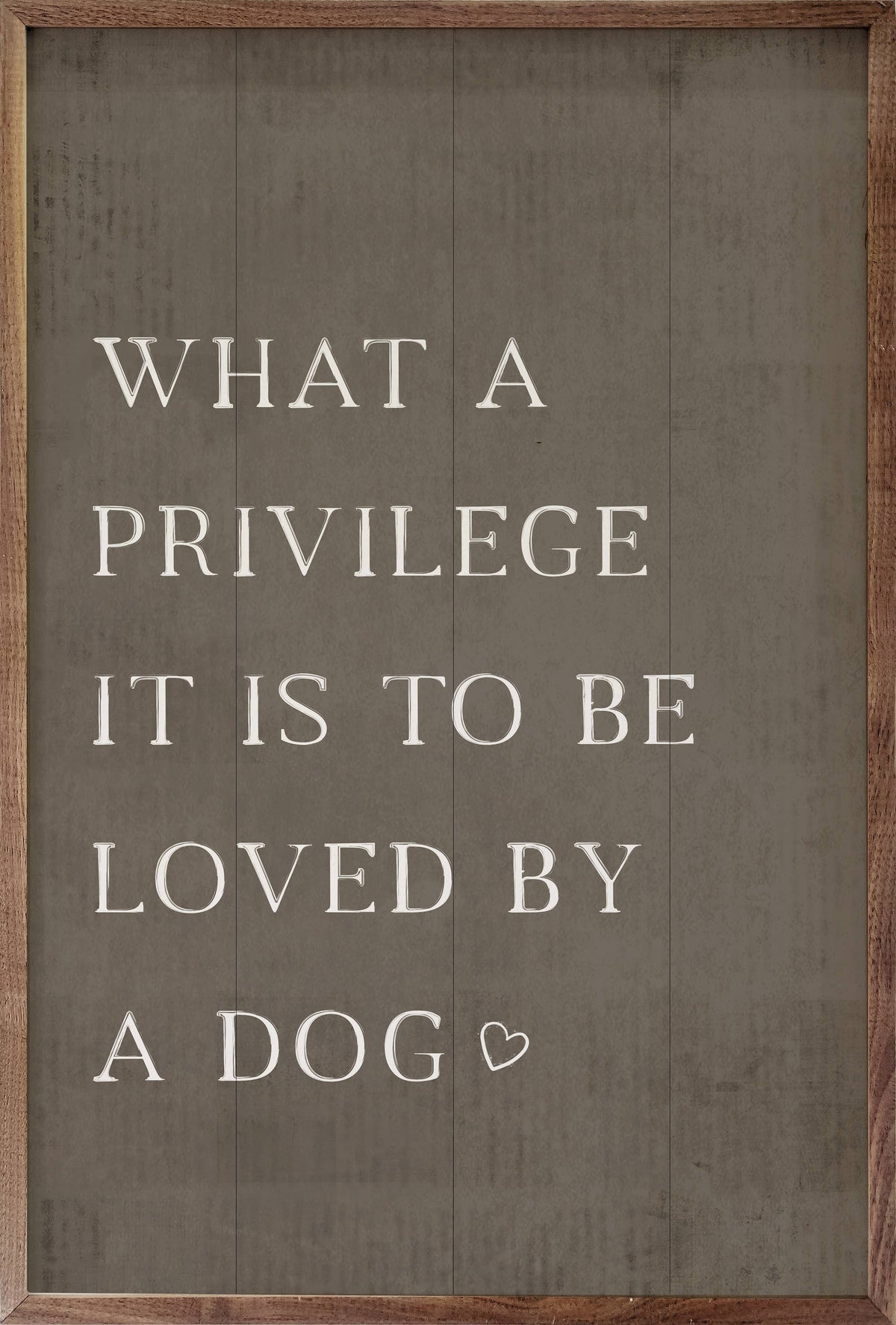 What A Privilege Dog