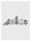 Olympic Peninsula Field Guide Sticker