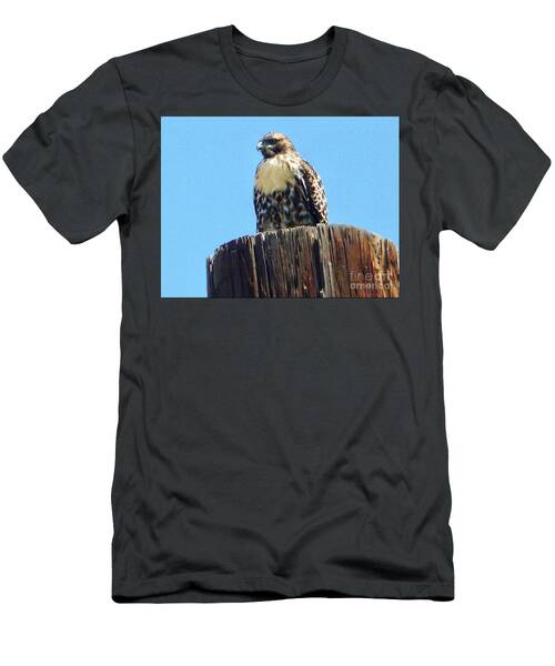 Falcon Perched T-Shirt