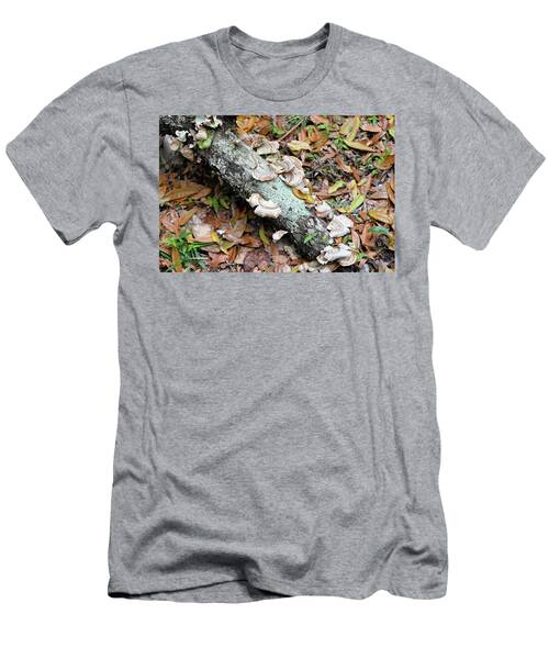 Fallen Branch With Oyster Mushrooms In Florida T-Shirt