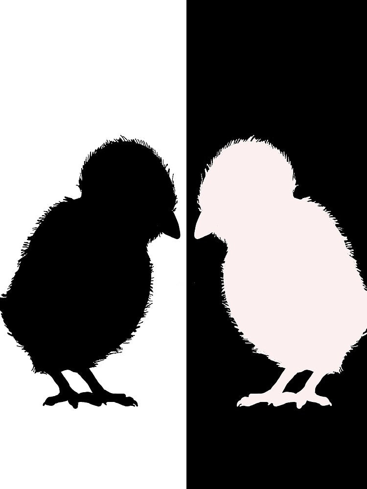 Chicks by DelirusFurittus