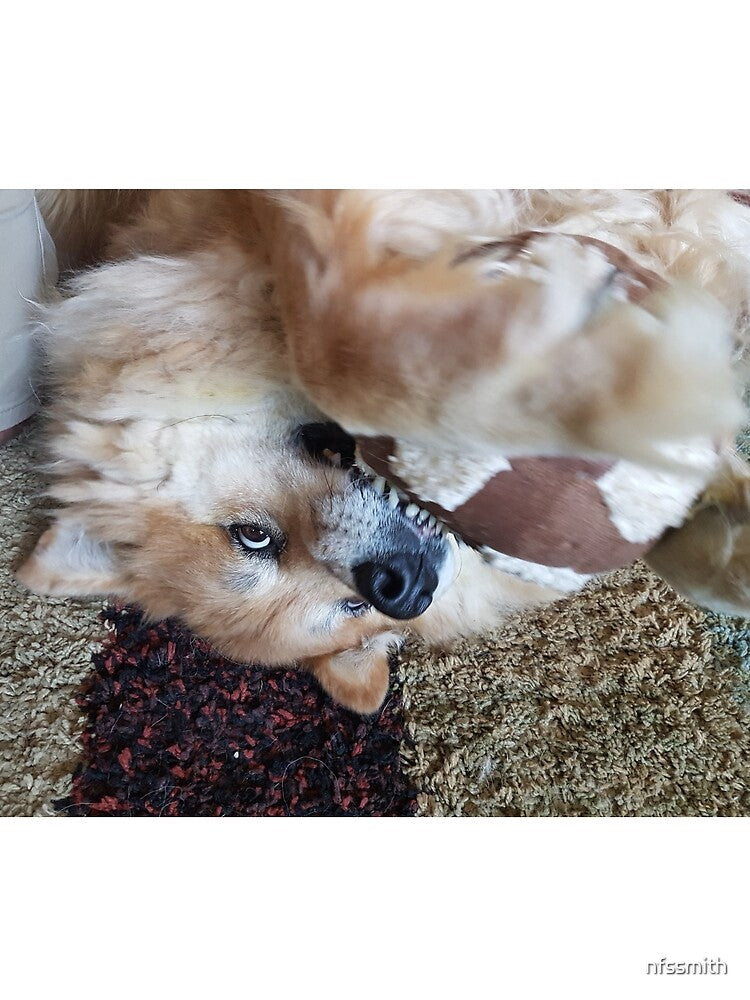 Marley upside down with her soccer ball by nfssmith