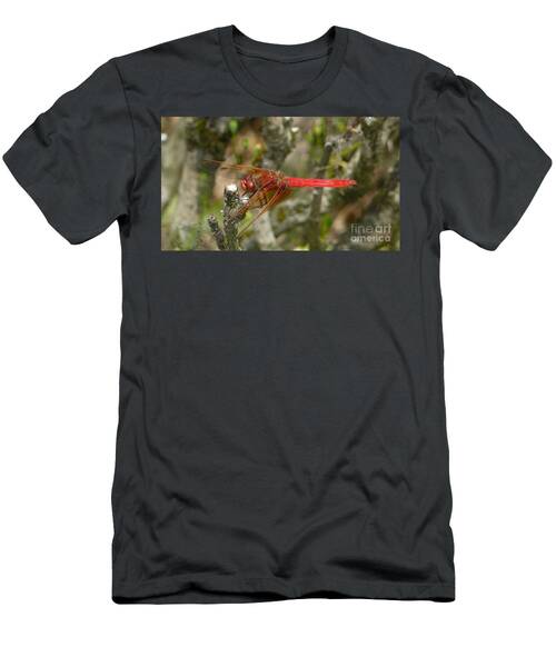Fly Red Dragon T-Shirt