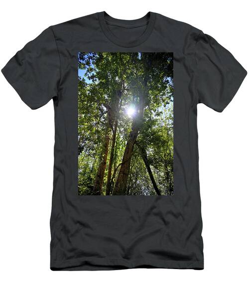 Forest Trees With Sun In Canopy T-Shirt